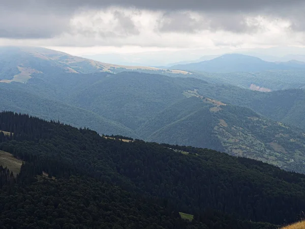 Montanhas Carpáticas Floresta Verde — Fotografia de Stock