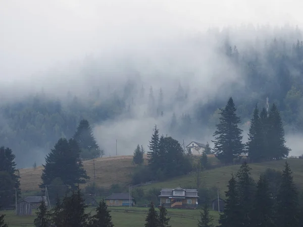 Montanhas Carpáticas Neblina Neblina Floresta Pinheiros — Fotografia de Stock