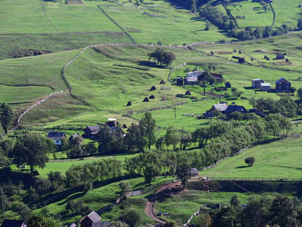 Karpaterna Village Grön Skog — Stockfoto