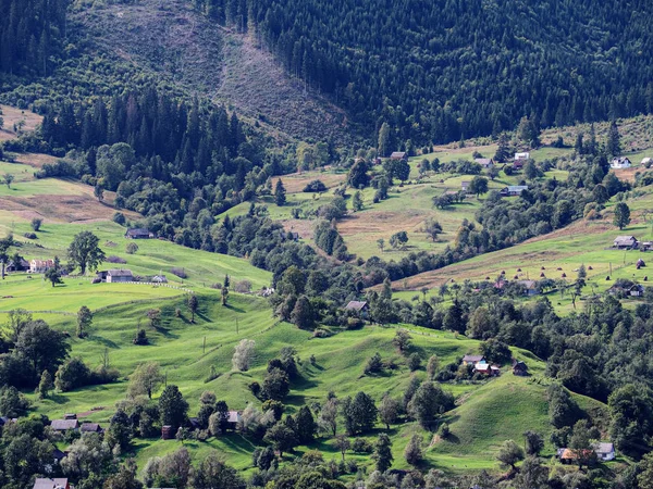 Pueblo Montañoso Los Cárpatos Bosque Verde — Foto de Stock