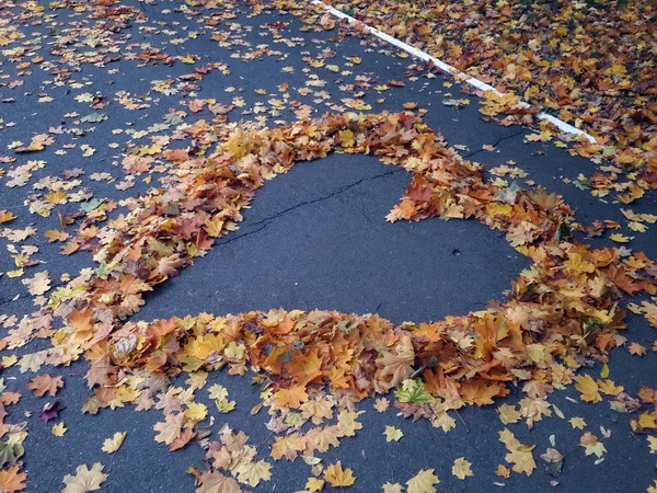 Heart from autumn maple leaves on asphalt