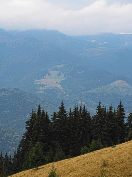 Blick Von Oben Auf Die Karpatischen Berge — Stockfoto