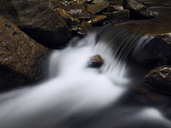 Cascata Alle Montagne Carpatiche Foresta Verde — Foto Stock