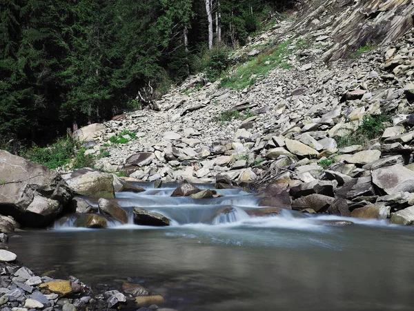Řeka Carpatian Horách Zelený Les — Stock fotografie