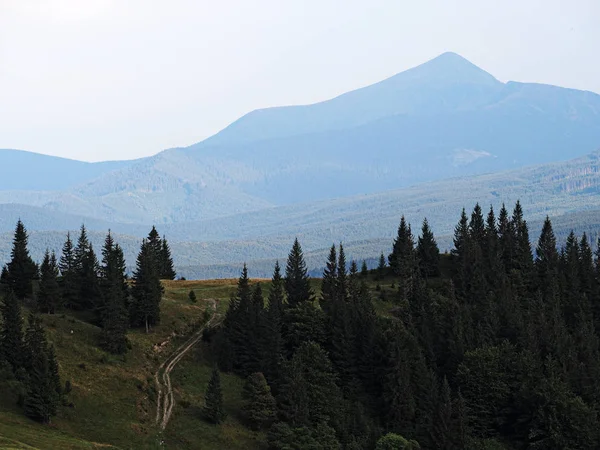 Carpatian Montagne Vista Dall Alto — Foto Stock