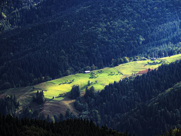 Village Des Montagnes Des Carpates Forêt Verte — Photo