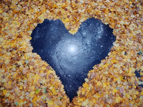 Heart from yellow autumn maple leaves road to universe