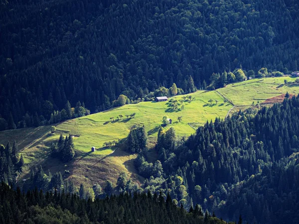 Karpaten Dorf Grünen Wald — Stockfoto