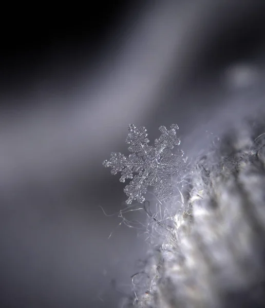 Kar Tanesi Parlak Yıldız Doğal Arka Plan — Stok fotoğraf