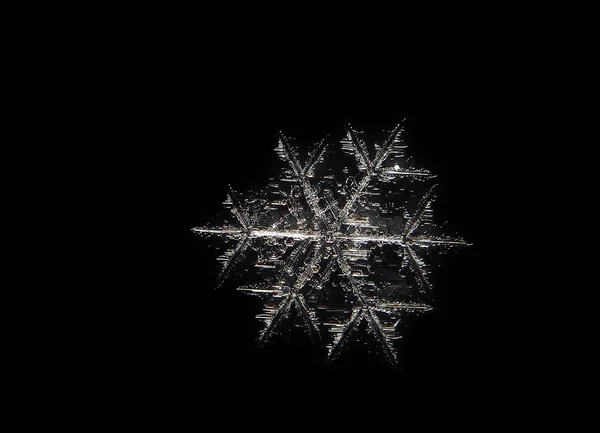 Snöflinga Stor Närbild Isolerade Black — Stockfoto