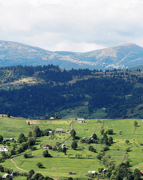 Pueblo Montañoso Los Cárpatos Bosque Verde — Foto de Stock