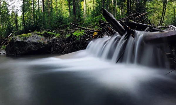 Водоспад Карпатах Зелений Ліс — стокове фото