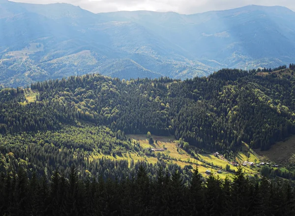 Karpaten Dorf Grünen Wald — Stockfoto