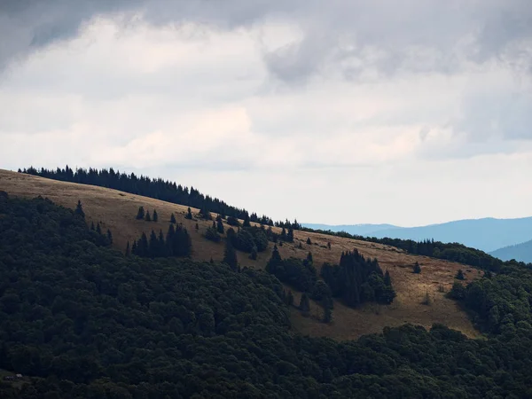 Carpatian Hory Vesnice Zelený Les — Stock fotografie