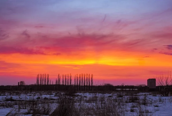 Захід Сонця Над Засніженим Полем — стокове фото