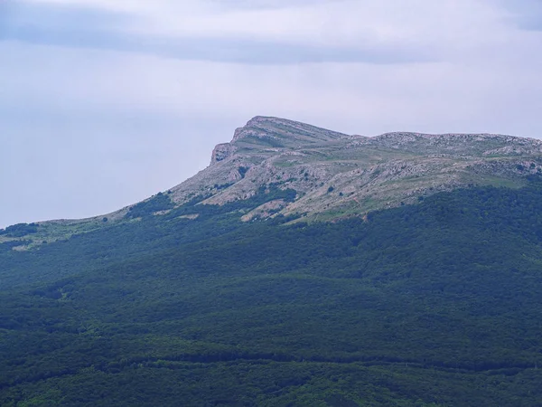 Bergen Krim Och Den Gröna Skogen Och Byn — Stockfoto