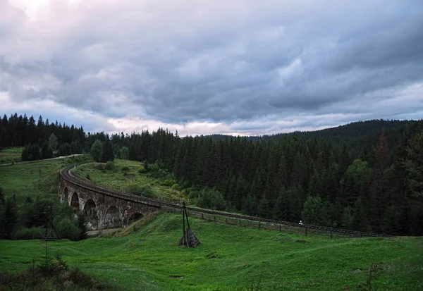 Carpatian Hory Letní Krajina — Stock fotografie