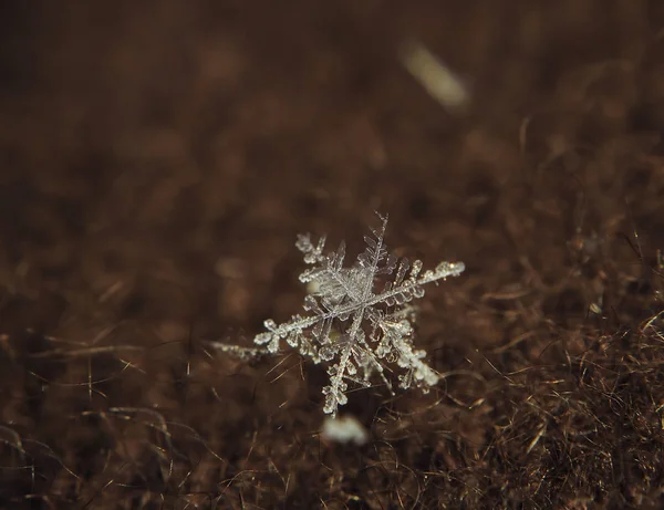 Schneeflocke Groß Auf Rotem Hintergrund — Stockfoto