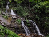 Картина, постер, плакат, фотообои "waterfall at the carpatian mountains green forest", артикул 216672564