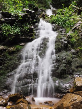 Carpatian dağlar yeşil orman şelale