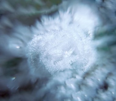 Buz, doğal arka plan gül