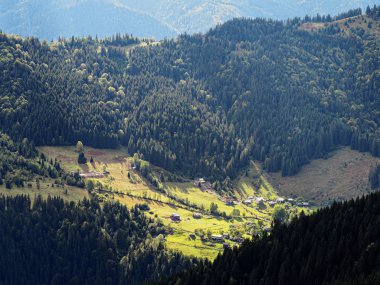 Yeşil orman köyünde Karpat Dağları 