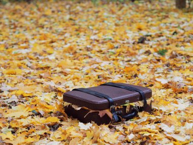 Sarı akçaağaç dolu çanta yere bırakır