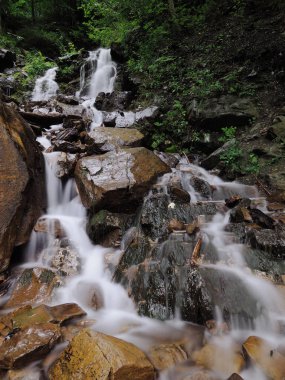 Carpatian dağlar yeşil orman şelale