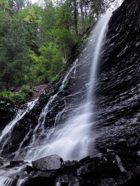 Şelale yeşil yağmurlu çam ormanı, carpatian Dağları 
