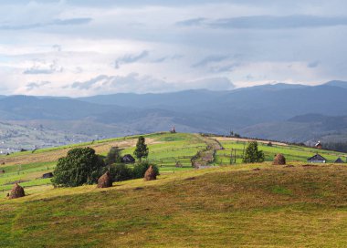 Yeşil orman köyünde Karpat Dağları 