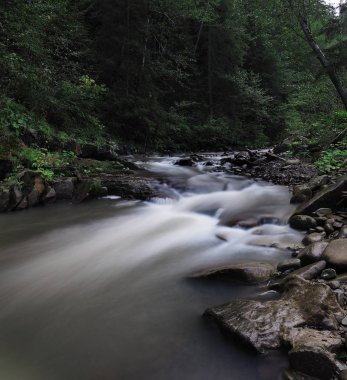 Nehir carpatian dağlar ve yeşil orman