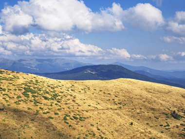 Carpatian dağlar yeşil orman köyünde 