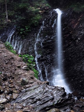 Şelale yeşil yağmurlu çam ormanı, carpatian Dağları 