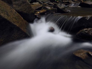 Carpatian dağlar yeşil orman şelale
