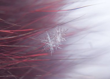 Kar tanesi güzel renkli arka plan makro üzerinde