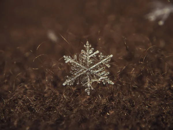 Kar tanesi kırmızı zemin üzerine büyük