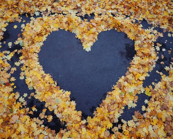 Heart from yellow autumn maple leaves at the blue asphalt