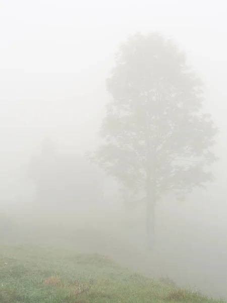 Niebla Niebla Pueblo Las Montañas Carpatian — Foto de Stock