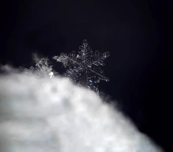 Kar Tanesi Yıldız Kar — Stok fotoğraf