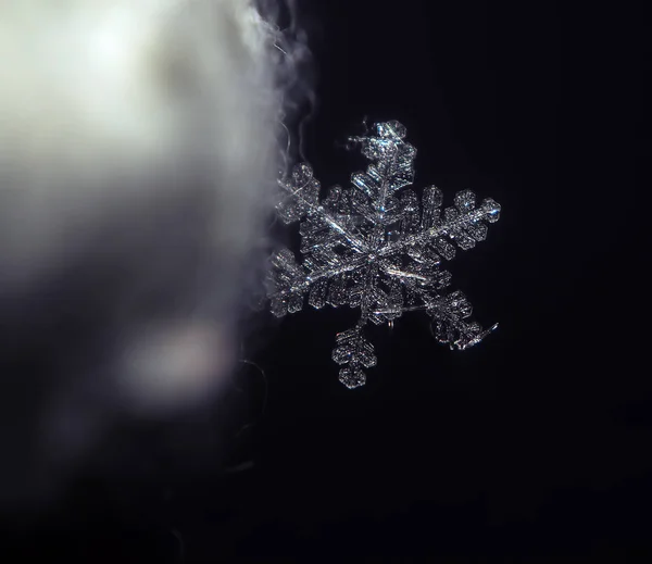 Sněhová Vločka Crystal Průhledné Stojící Tmě Jasně Noční — Stock fotografie