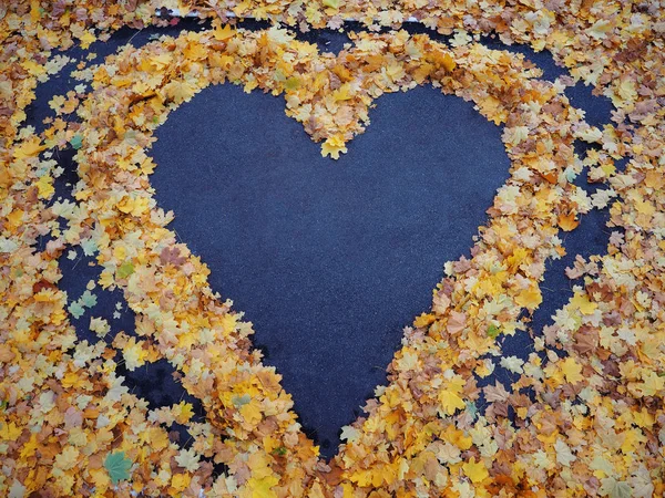 Coeur Feuilles Érable Jaune Automne Asphalte Bleu — Photo