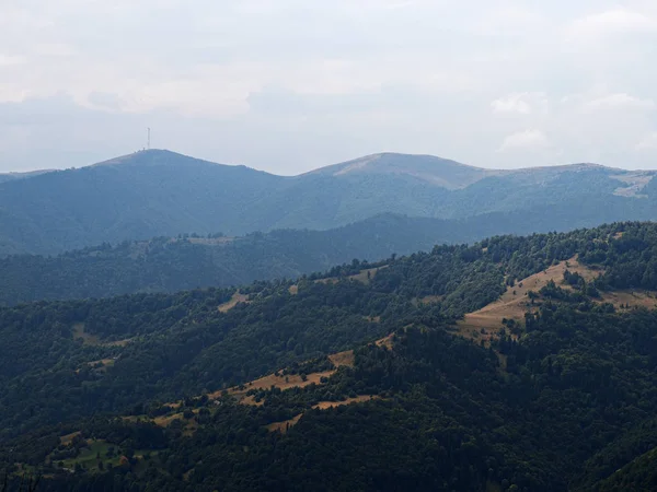 Aldeia Montanhas Carpatian Floresta Verde — Fotografia de Stock