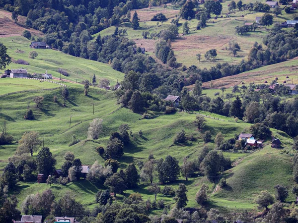 Aldeia Das Montanhas Dos Cárpatos Floresta Verde — Fotografia de Stock