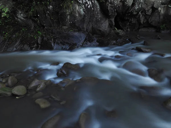 Fluss Den Karpaten Und Grüner Wald — Stockfoto