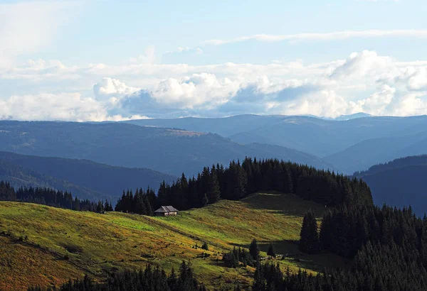 Aldeia Das Montanhas Dos Cárpatos Floresta Verde — Fotografia de Stock