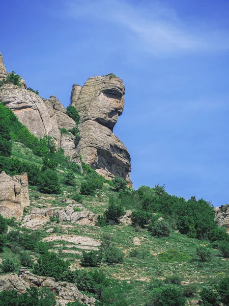 Гори Криму Зелений Ліс Село — стокове фото