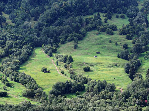 Aldeia Das Montanhas Dos Cárpatos Floresta Verde — Fotografia de Stock