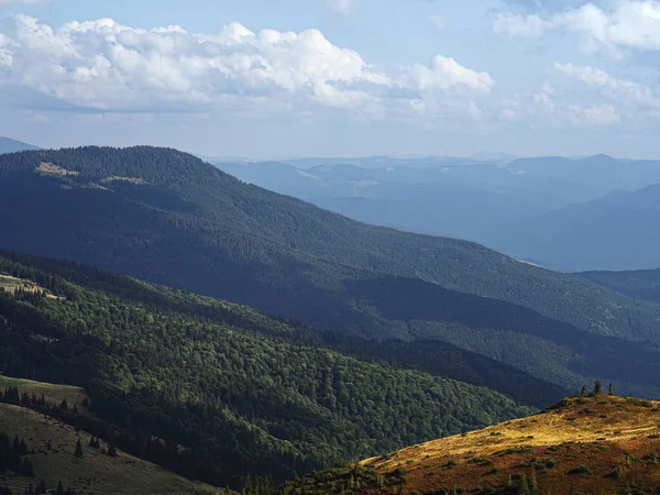 Carpatian Montagne Vista Dall Alto Foresta Verde — Foto Stock