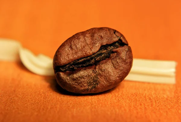 Grano Café Sobre Fondo Naranja Brillante — Foto de Stock