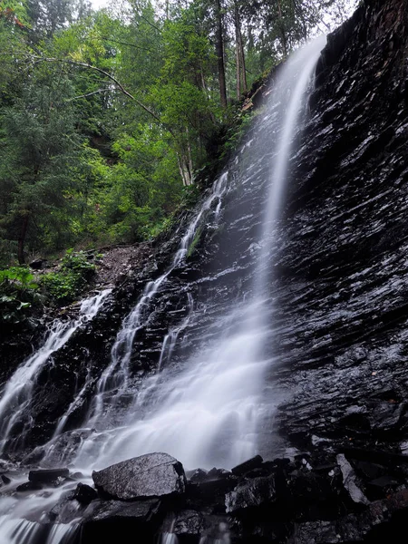 Водопад Карпатских Горах Зеленом Дождевом Сосновом Лесу — стоковое фото
